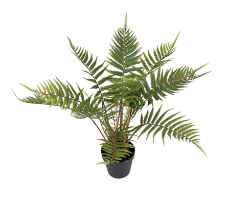 Mr Plant Kunstig Plante Ormbunke H50cm