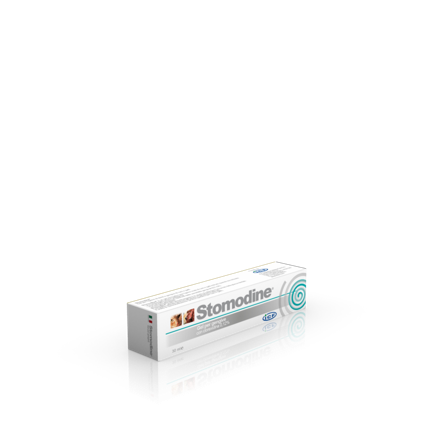 Stomodine munngel hund&katt