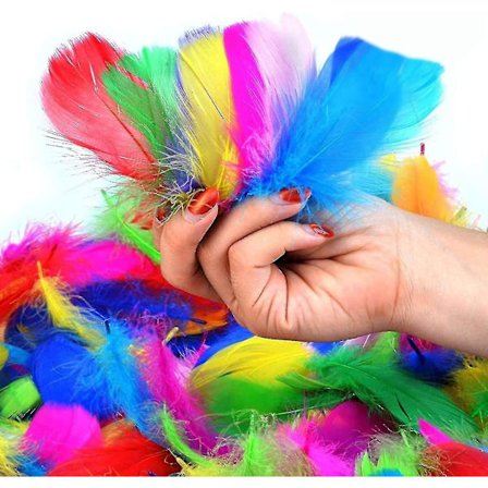 Fargerike fjær, pakke med 300 fargerike naturlige fjær for DIY-håndverk, kunstdesign og håndverk