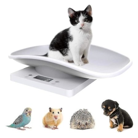 Digital Pet Scale Electronic Kitchen Scale with LCD Display 10kg/22lb