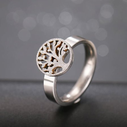 Rostfritt stål ring GULD, SILVER