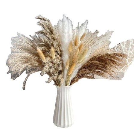 Naturlig tørket pampasgress, tørkede blomsterdekorasjoner, fluffy planter, tørket KLB