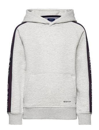 GANT D1. Gant Archive Sweat Hoodie Grå