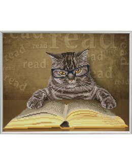 Diamond Dotz Jag kan läsa