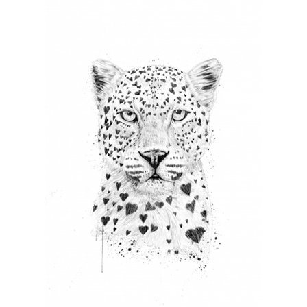 Lovely Leopard