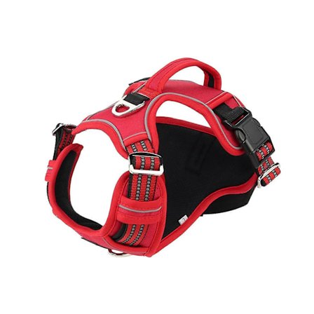 Hund Katt Koppelsats Hund Reflex Valp Bröstsele Utomhuspromenader