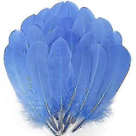 200 stk. Gåse Nagoire Fjer