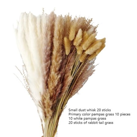 Naturlig pampasgräs torkat, fluffigt och böljande torkade blommor