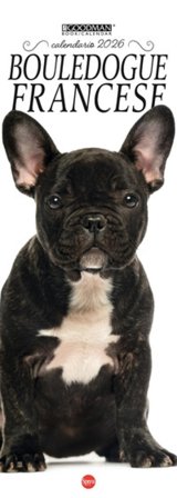 Bouledogue francese. Calendario 2026 Long