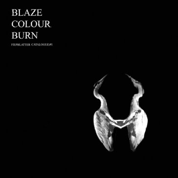 Blaze colour burn JAN ST. WERNER