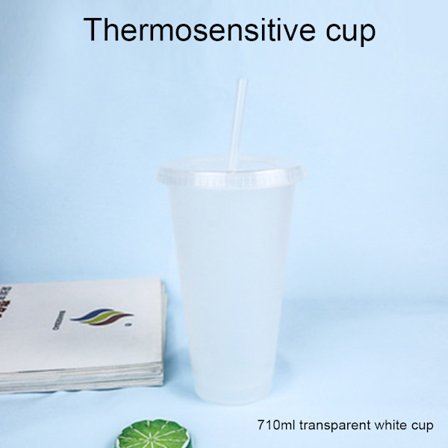 Färgskiftande koppar Återanvändbara tumlare med lock och iskoppar med halm för vuxna barn