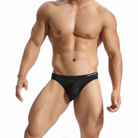Herr Bikini Underkläder Låg Midja Trosor Mikrofiber Kalsonger