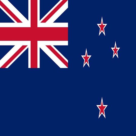 New Zealands flag 100