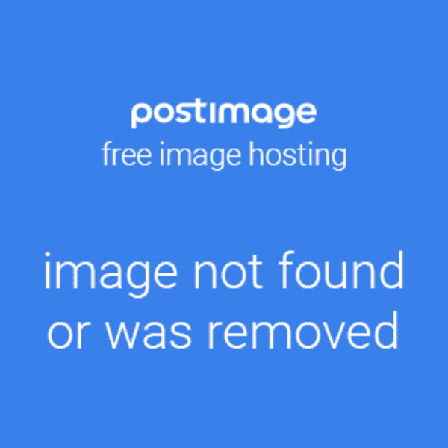 Til Lay Z V1 S1 Spa Filter Housing Holder Hot Tub Spa Pool Rengøring