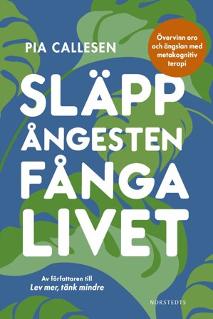Släpp ångesten, fånga livet : Övervinn oro och ängslan med metakognitiv terapi, ISBN: 9789113126272