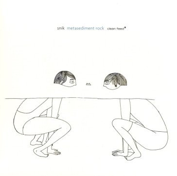 Metasediment rock SNIK