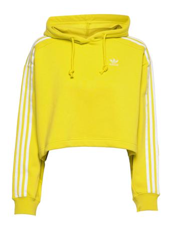 Adicolor Classics Cropped Hoodie W Green Adidas Originals