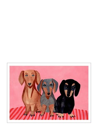 Poster & Frame Iga Kosicka - Dachshunds - Pink - 30X40CM