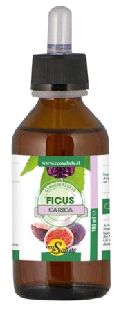 Ficus Carica Gemmodeivato 100ml