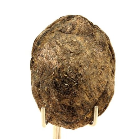 Kivet ja mineraalit. Biotiitti. 116,0 senttiä. Freita-vuori, Arouca, Aveiro, Portugali.