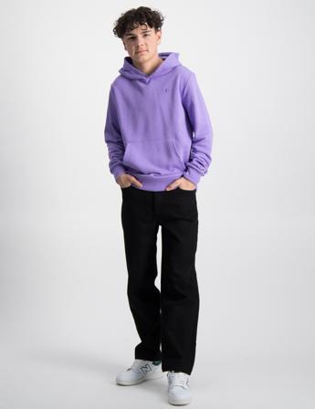 Champion Hooded Sweatshirt Lila Huvtröjor/Hoodies Kille - Kids Brand Store