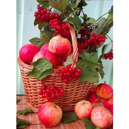 30 x 40 cm ,pommes et cerises Diamond Painting Broderie Diamant