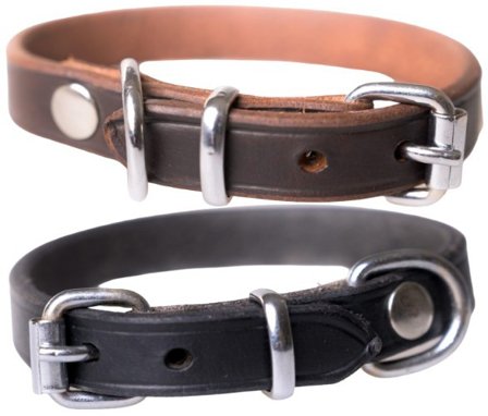 Active Canis Leather Collar koiran nahkapanta, 55 - 60 cm