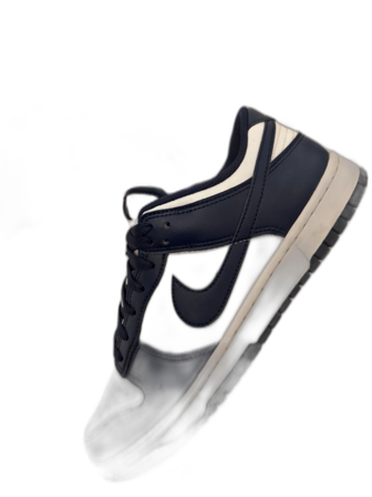 Nike Dunk Low blå och vita sneakers