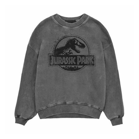 Jurassic Park Unisex Vuxen Spray Logo Sweatshirt XL Svart Black XL