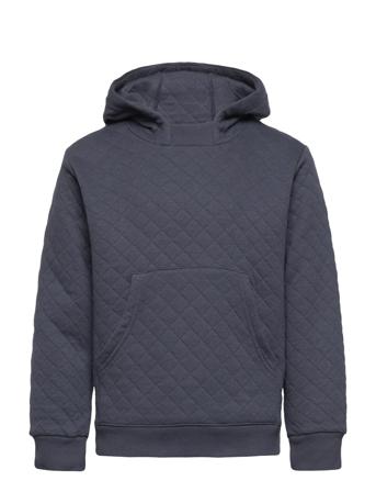 St - Sweatshirt Hoodie Navy Hust & Claire
