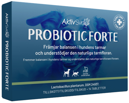 AktivSvea Probiotic Forte 14 tabletter