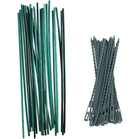 50 stk Bambus Grønne Plante Støtte Staver Med 50 stk Justerbare Bånd For Blomst Og Hage 30cm