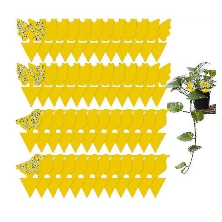 30 stk Fruktfluefeller - Klistregnattfeller for innendørs og utendørs planter