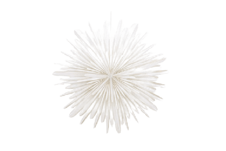 Venture Home Sälen Adventsstjärna -80cm Julbelysning Unisex Vit 80 cm