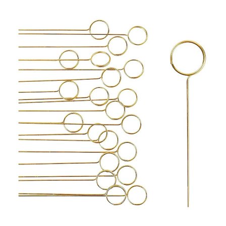 Blomsterpluk Kort Holder, Bildeholdere, 40 stk Ringløkke, Foto Klipp Holder Blomst Kort Holder Sti