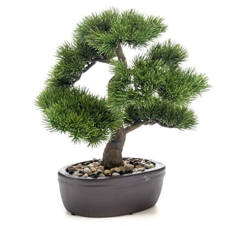 Emerald Art bonsai tall med brun kruka 32 cm Grön