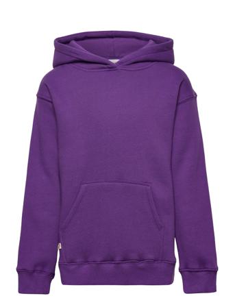 Hoodie Ls Purple Rosemunde Kids