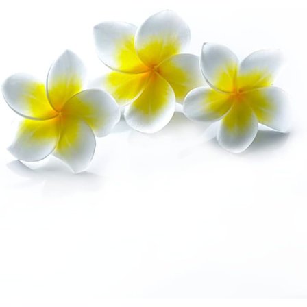 6 stk 2,7 tommers skum kunstige Plumeria Rubra blomsterhoder Hawaiia