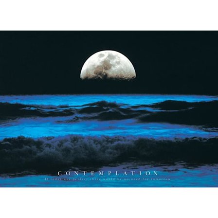 Contemplation
