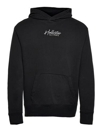 Hco. Guys Sweatshirts Black Hollister