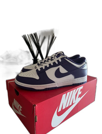 Nike dunk court purple