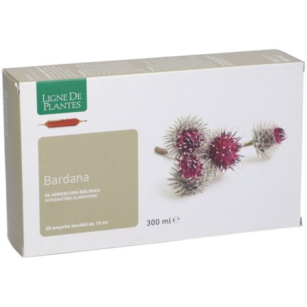 Ligne De Plantes Bardana Bio 20 Ampolle