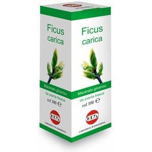 Ficus Carica Macerato Glicerico 100ml