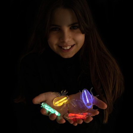 Loistava Hyönteiset 4 kpl