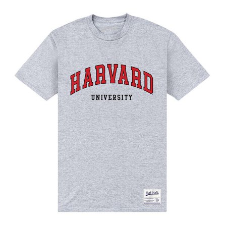 Harvard University Unisex Vuxen Est 1636 T-Shirt L Heather Grey