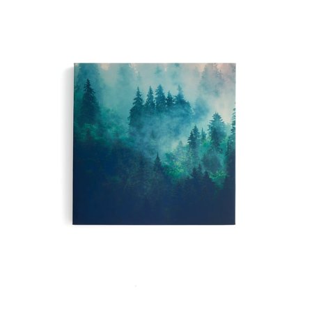 Akustikpanel IMAGE, morgentåge, del 1, 800x800 mm