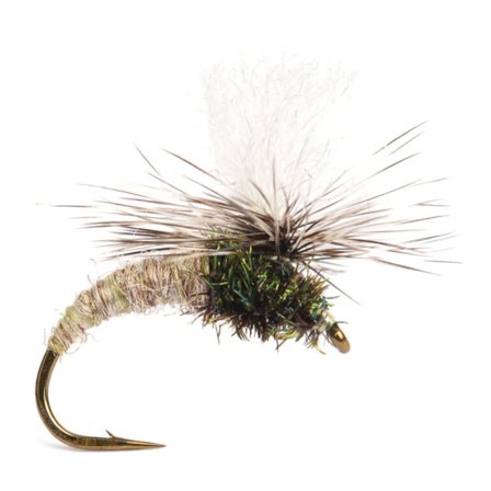 Klinkhammer Tan size 12