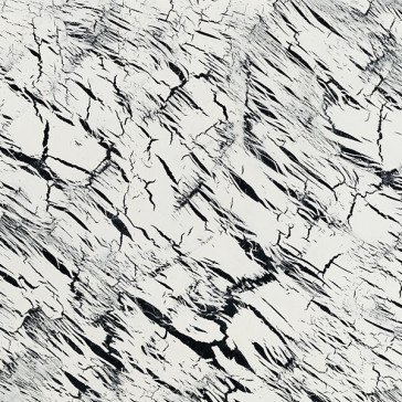 Excavations 1 JOSHUA ABRAMS