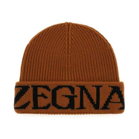 Z Zegna, Beanies Bruin, Heren, Maat:ONE Size