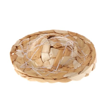 Bearded Dragon halmhatt Mini söt kostym fotorekvisita för leguaner amfibier